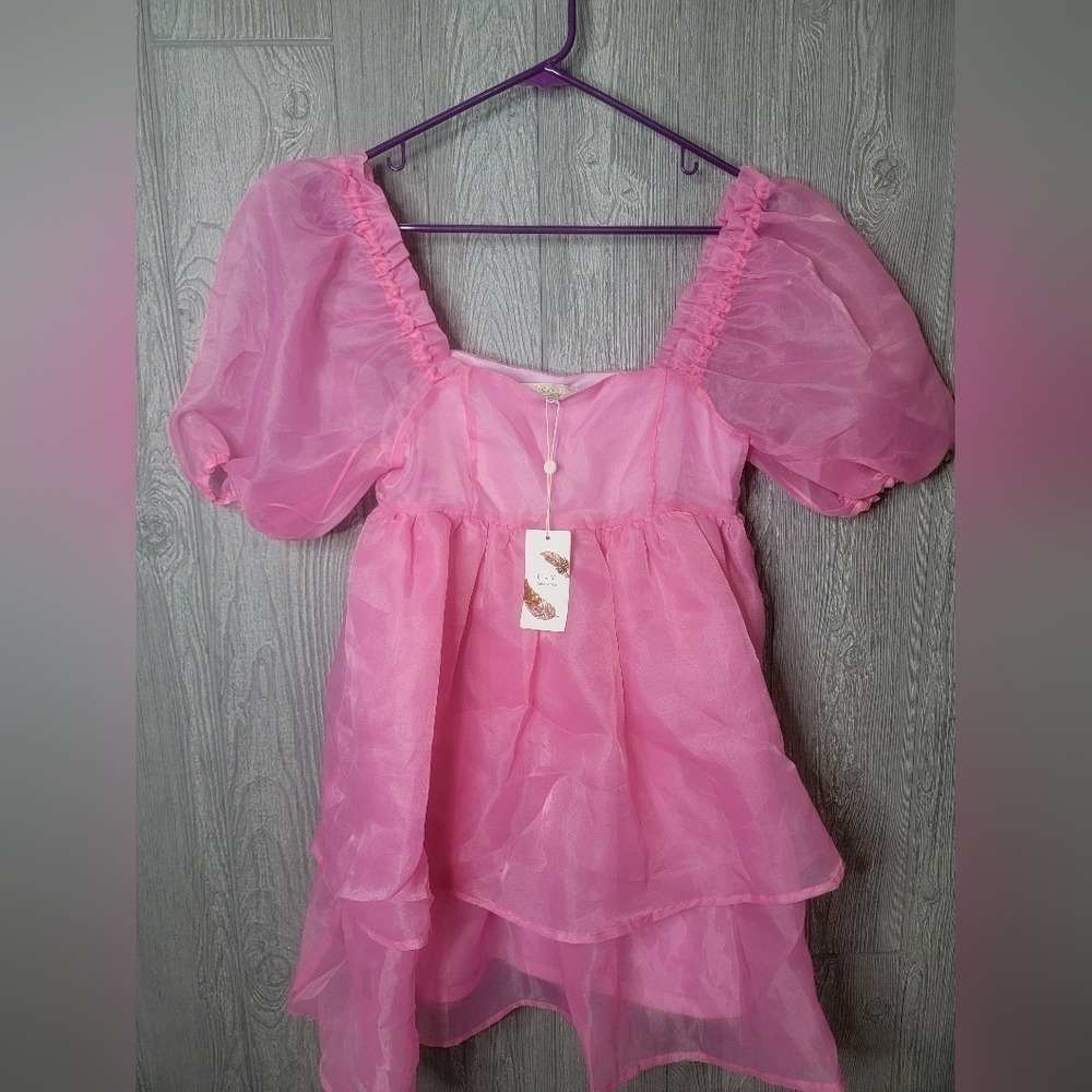 Chelsea & Violet Rose Bloom Pink Organza Puff Sleeve Babydoll Tiered Dress XS